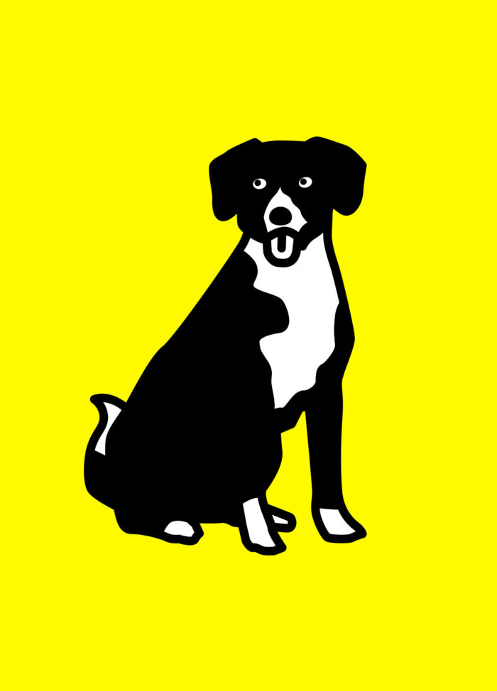 2026 Klub der Klugscheisser teaser